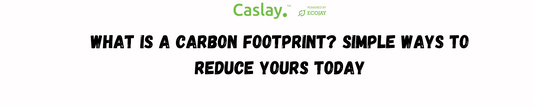 What Is a Carbon Footprint? Simple Ways to Reduce Yours Today